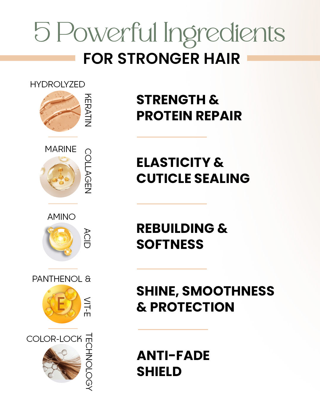 ZXX After Care Shampoo For Women | Both Treated & Natural Hair